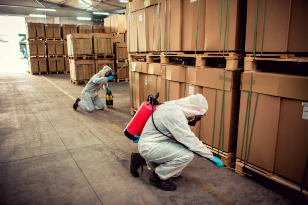 Best Best Pest Control Companies  in Athens, WV