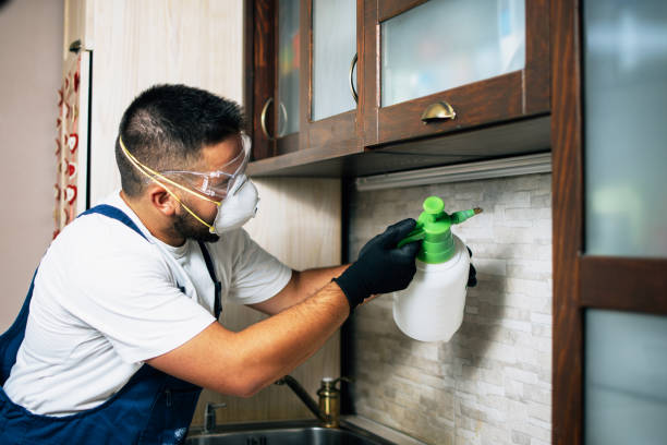 Best Pest Control for Businesses  in Athens, WV