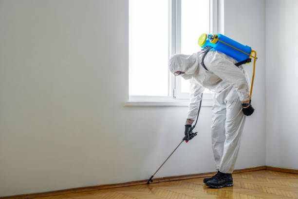 Pest Control Cost in Athens, WV
