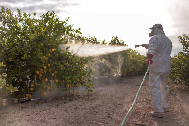 Best Pest Removal Services  in Athens, WV