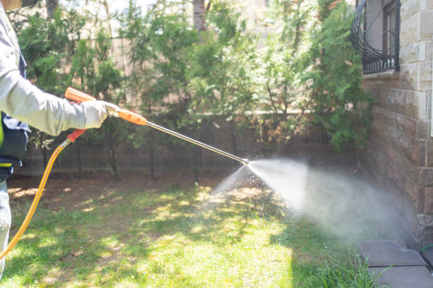 Best Termite Control Services  in Athens, WV
