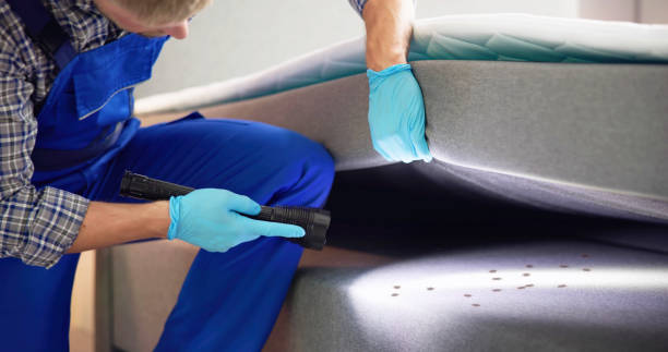 Best Affordable Pest Control Services  in Athens, WV