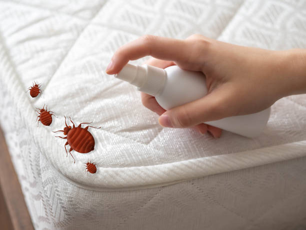 Best Bed Bug Extermination  in Athens, WV